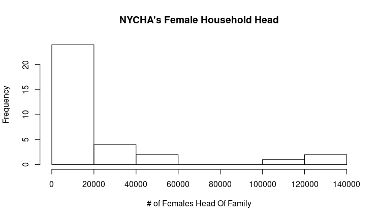 Female Household Head